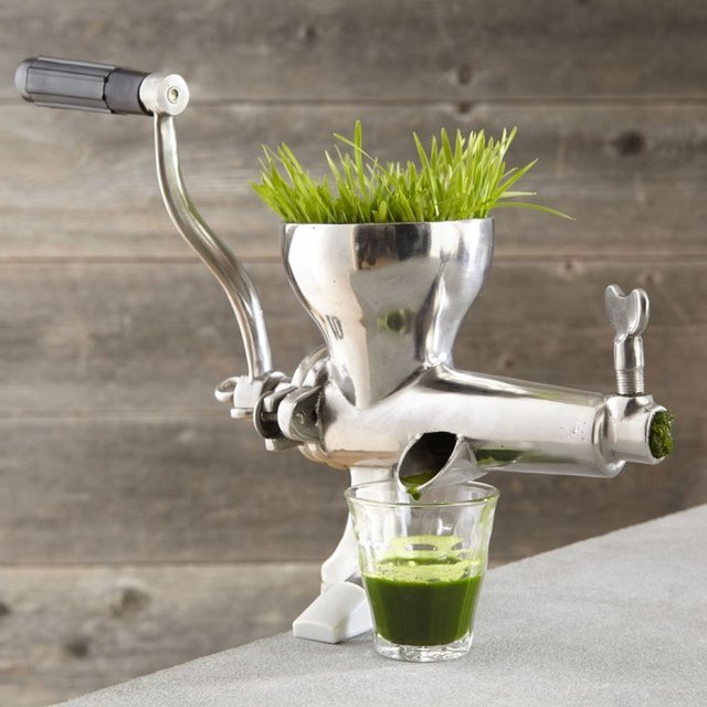 Wheatgrass Juicer From Williams-Sonoma