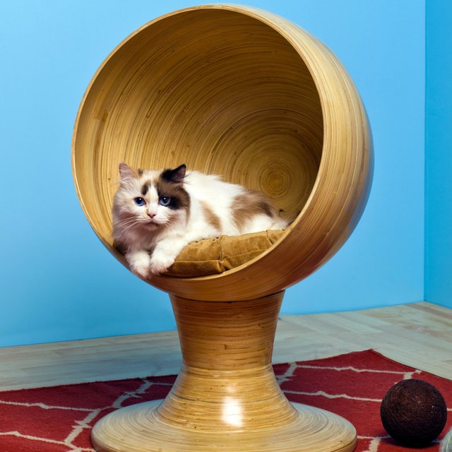 Kitty Ball Cat Bed From The Refined Feline